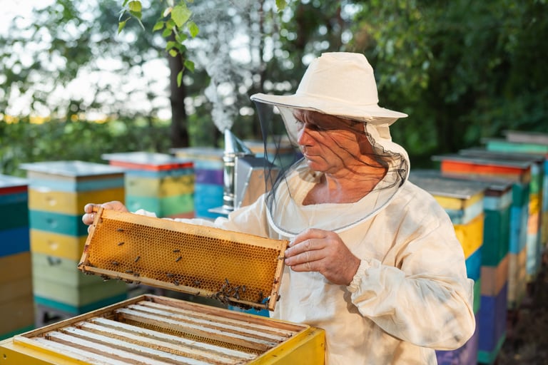 Beekeeper holding honeycomb frame with bees